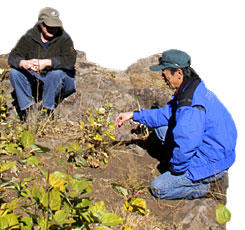 Sidney Smith and Marty Yamagiwa examine young aspens sprouting after the Blue Fire.