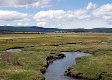 This portion of Ash Creek will be restored by the Crown D Ranch in Ash Valley.