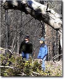 Sidney Smith and Marty Yamagiwa look at the aspen regeneration in the Blue Fire area.