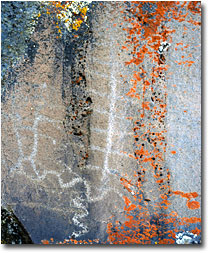 Petroglyphs near Fairchild Wetland.