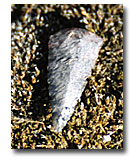 An arrowhead found in ancient Pit River indians shelter.