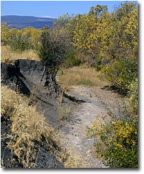 Dry creek bed of Beaver Creek, a tributary of the Pit River.