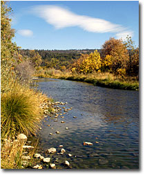 Pit River on the Vestal property.