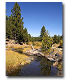 Lassen Creek.