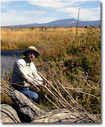 Cliff Harvey shows willows planted on the Likely Land and Livestock Ranch along the South Fork of the Pit River.