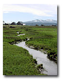 Ash Creek near the Wildlife Area.