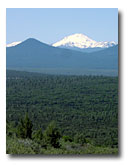 A view of Mt. Shasta across the Fall River Valley.