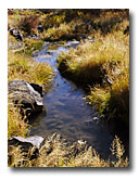 Grass and rocks along the North Fork of the Pit River.