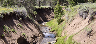 Eroded section of Rose Creek Canyon