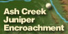 Ash Creek Juniper Encroachment