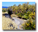 Beaver Creek is dry when water is scarce.