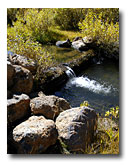 Added woody debris helps restore Lassen Creek.