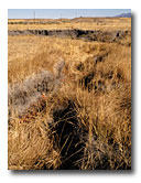 Deep cut channels along Willow Creek are a concern to the land owner.