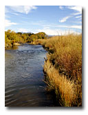 The riparian area along the South Fork of the Pit River has been improved to help with bank stability.