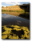 South Fork Pit River near Alturas.