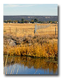 Fencing along the river helps the streambank recover from overuse.