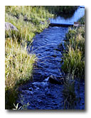 The riparian area in the Canyon Creek Ranch section has been restored to a more natural state.