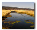 Agricultural land surround the Pit River in Warm Springs Valley.